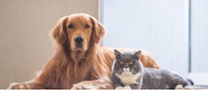 ウォルマート_ペット