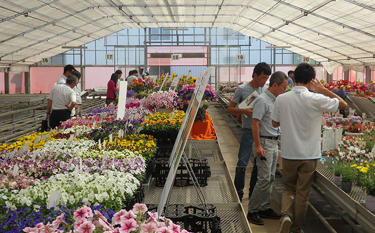 M＆B Flora・タキイ種苗会場