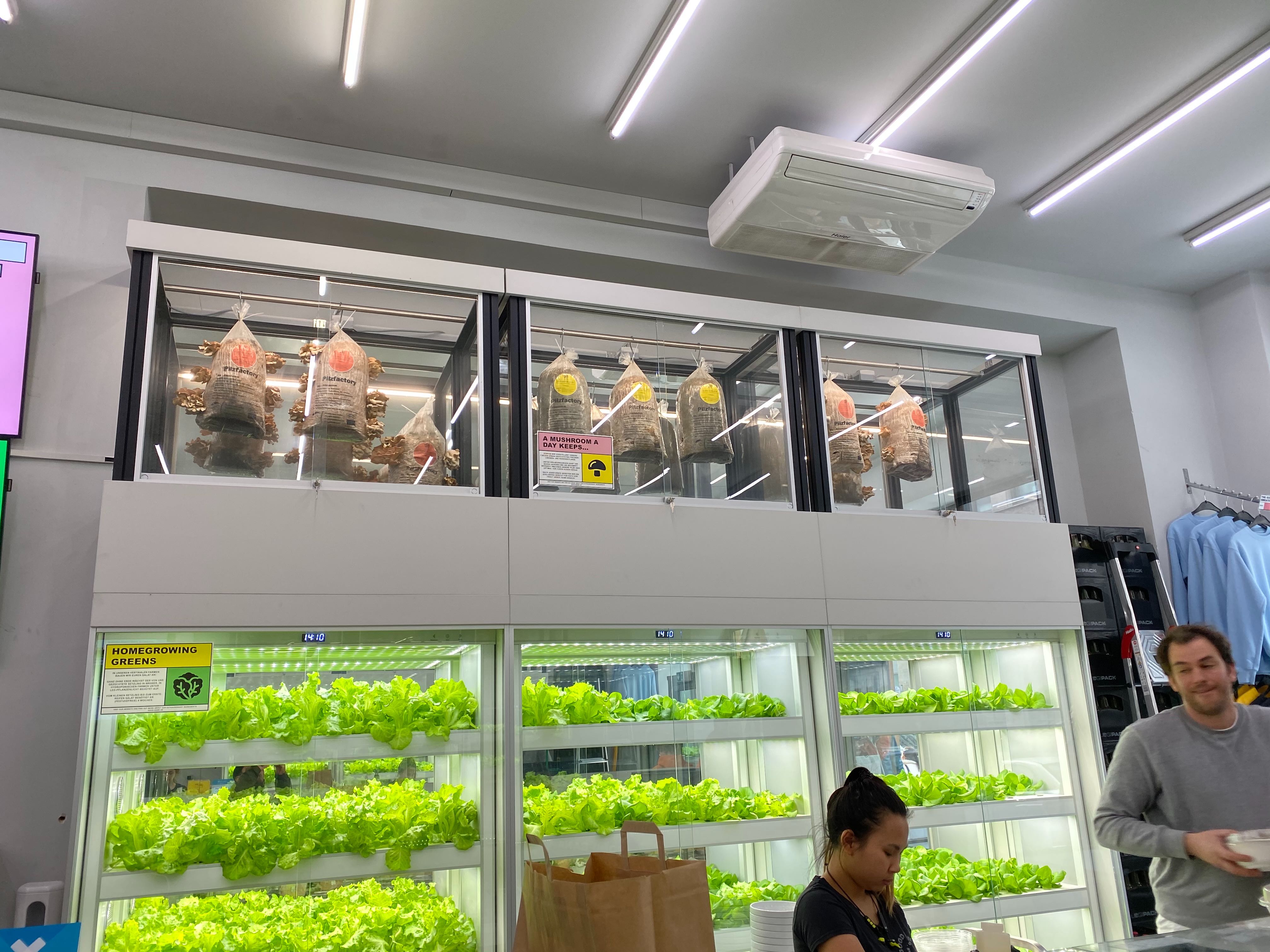 インファームは「店内水耕栽培」のシステムを開発・供給することで青果のサプライチェーンに変革をもたらした