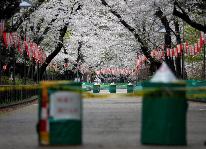 立ち入り禁止になった上野公園