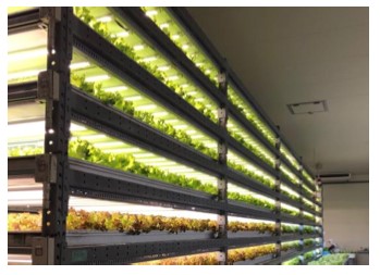 品揃え豊富なウォルマート