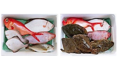 イオンリテールがネットスーパーで販売する鮮魚詰め合わせセット