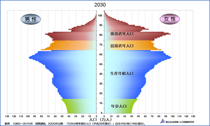 図表6　2030年の人口ピラミッド予想　出所：国立社会保障・人口問題研究所