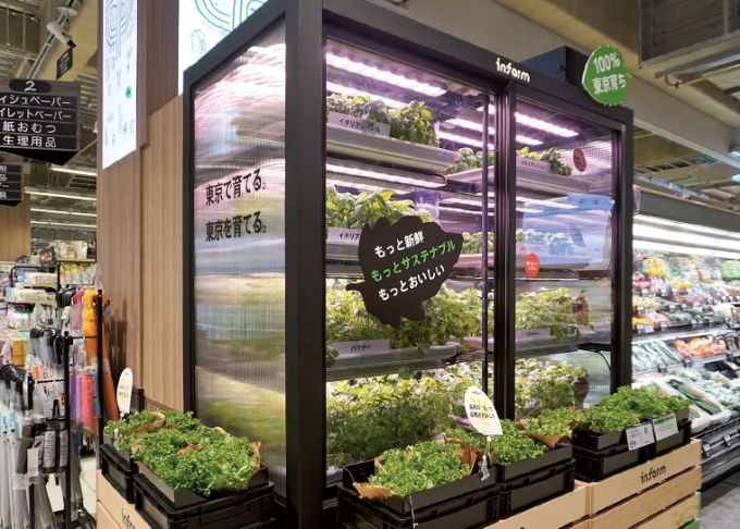 「サミットストア五反野店」（東京都足立区）に導入されたインファームの「屋内垂直農法」