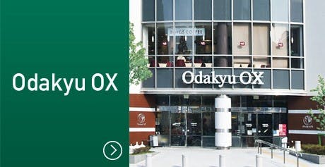 Odakyu OXの外観