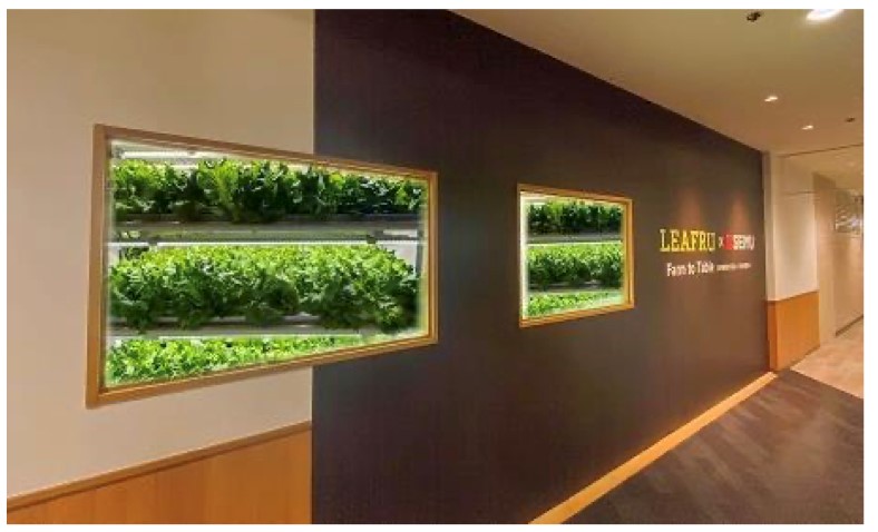 プランツラボラトリーが開発した植物工場「プットファーム」の外観イメージ