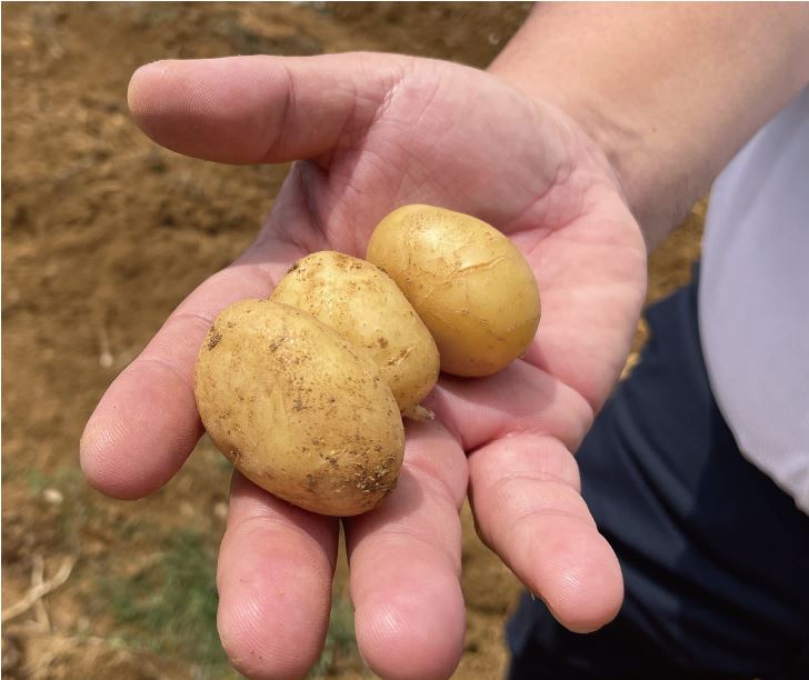 生鮮総菜の素材の例