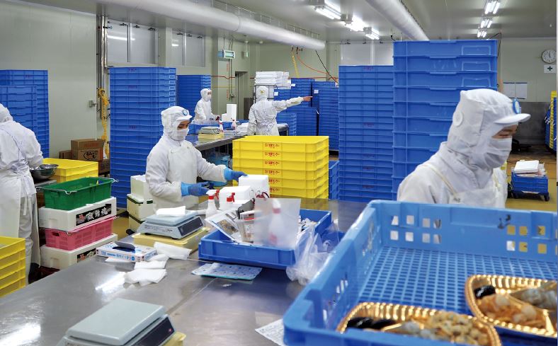 1993年に稼働を開始したオギノ生鮮センター