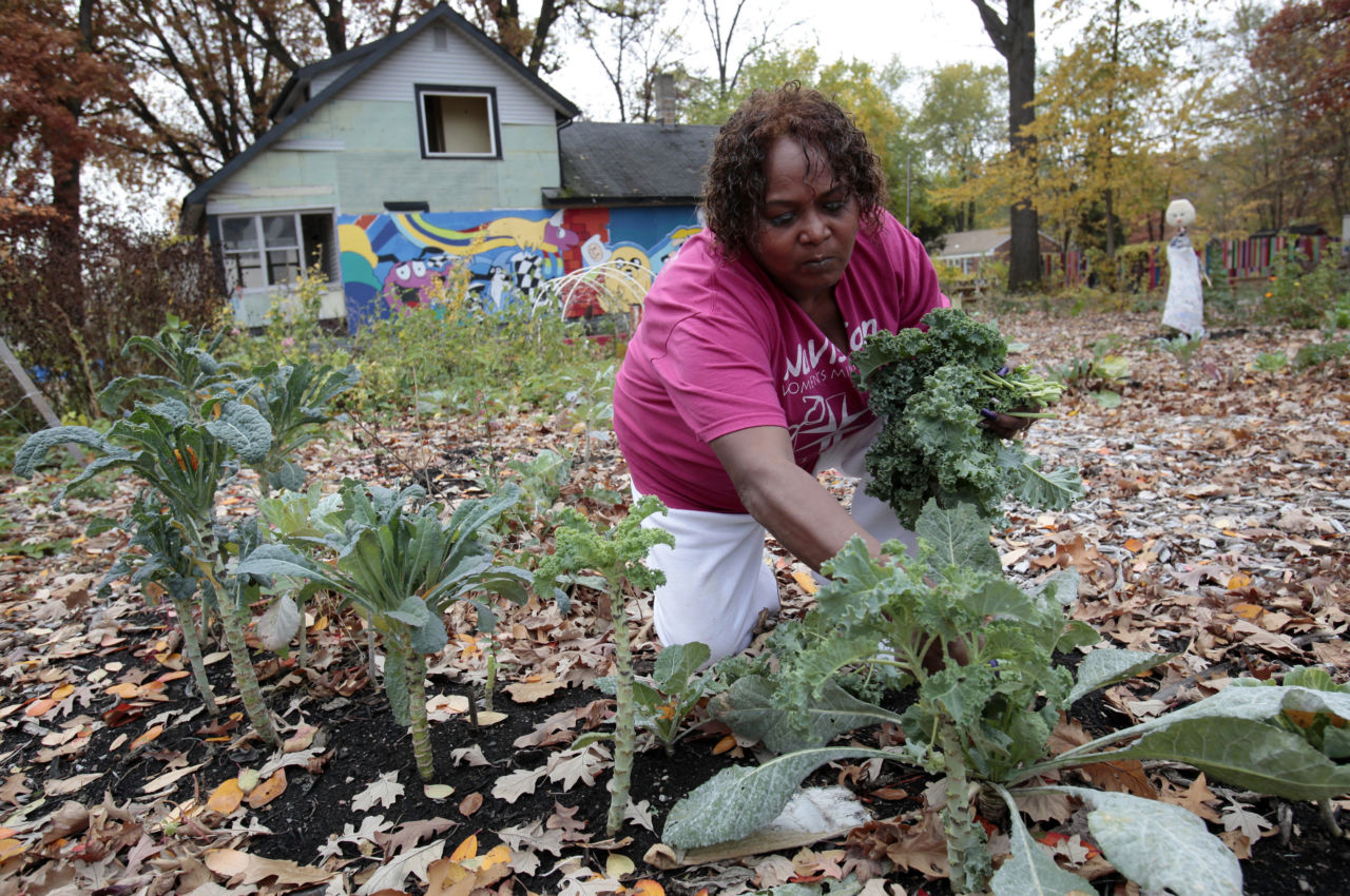 ミシガン州デトロイトのブライトモア地区の、ある廃屋に隣接する空き地を利用した菜園で野菜を収穫するグウェン・シバーズさん