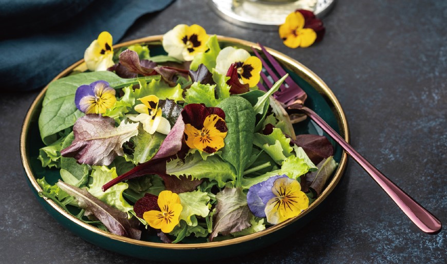エディフルフラワーをちりばめたサラダ