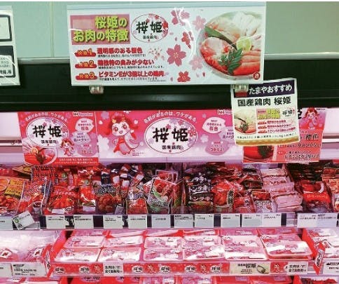 新「桜姫ちゃん」の販促物を使用した売場展開 株式会社たまや　浜竹店