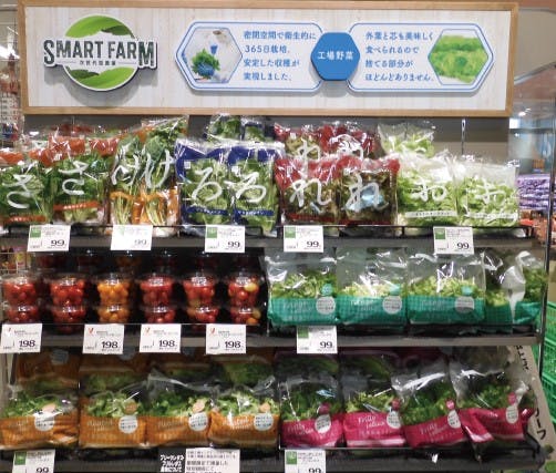ヤオコー和光南店の密閉交換で衛生的に栽培できる「次世代型農業」を提案する工場野菜コーナー