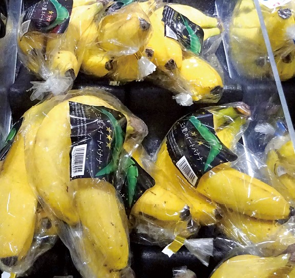 西友青果部門の「フィリピン産三ツ星スイートバナナ」