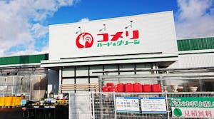 コメリハード&グリーン神川店
