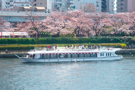 「晴海屋」のお花見屋形船