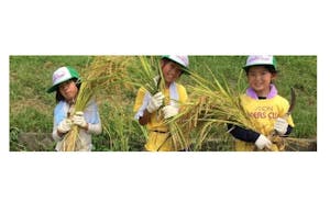 イオンチアーズクラブ(千葉ニュータウン・高根木戸)の活動の様子