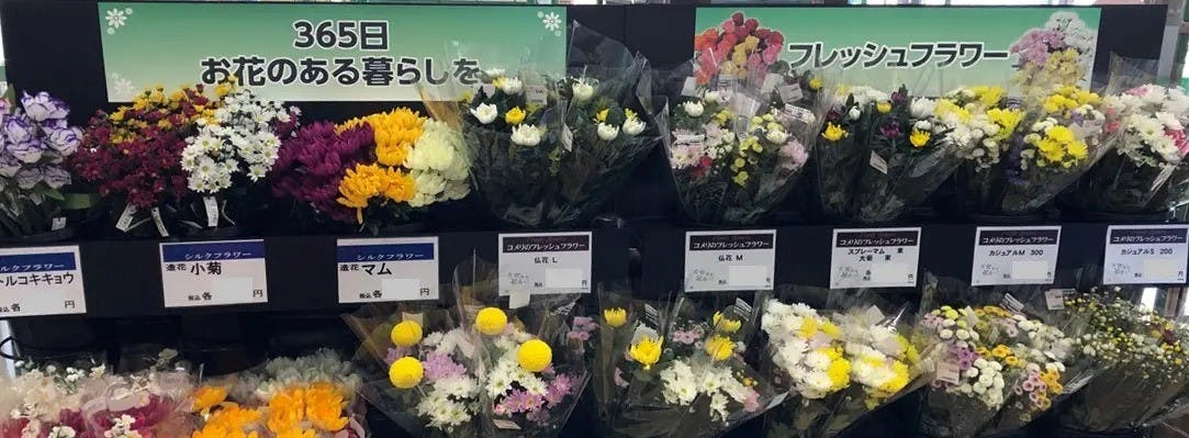 コメリの切り花売場