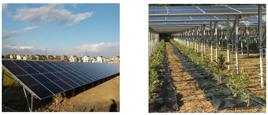 イオンモールの「低圧・分散型太陽光発電設備」と「ソーラーシアリング」