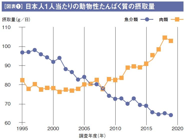 ［図表❶］ 日本人1人当たりの動物性たんぱく質の摂取量