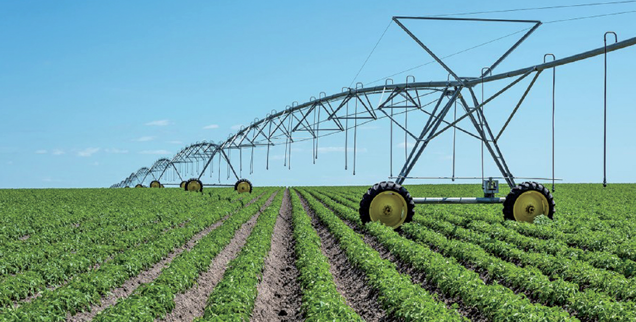 リジェネラティブ・アグリカルチャー