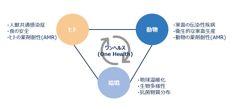 「ワンヘルス」の考え方（筆者作成）