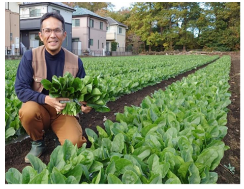 セブンファーム東京（立川）平野さんの「ほうれん草」