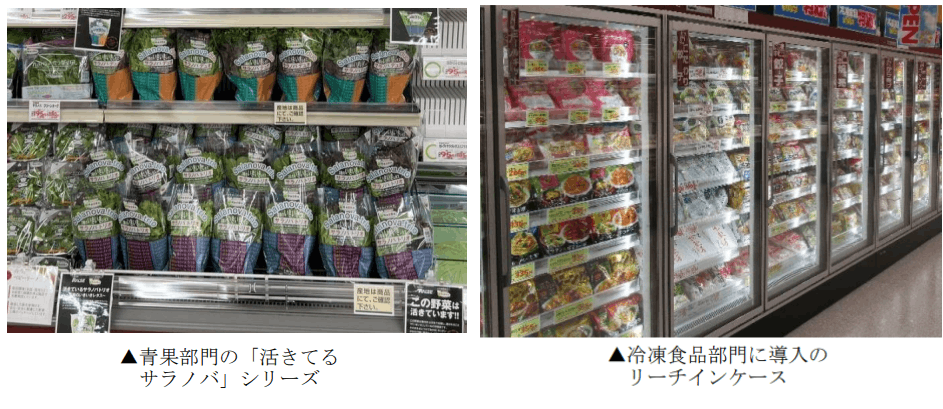 ラルズマート真駒内店　青果売場と冷凍食品売場