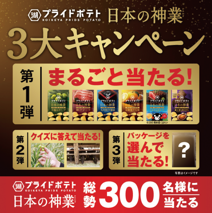 湖池屋3大キャンペーン広告