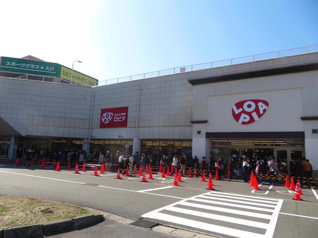 開店前にはロピア入口の前にお客が約100人並び、長い列ができていた