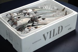 初輸入から4年目となる秋の風物詩 今年のノルウェー産 旬の“生”サバ「サバヌーヴォー」本日上陸 超高速凍結技術により生食で食べられる「サバヌーヴォー寿司」も販売開始