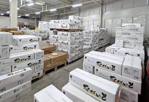 青果の仕入れイメージ