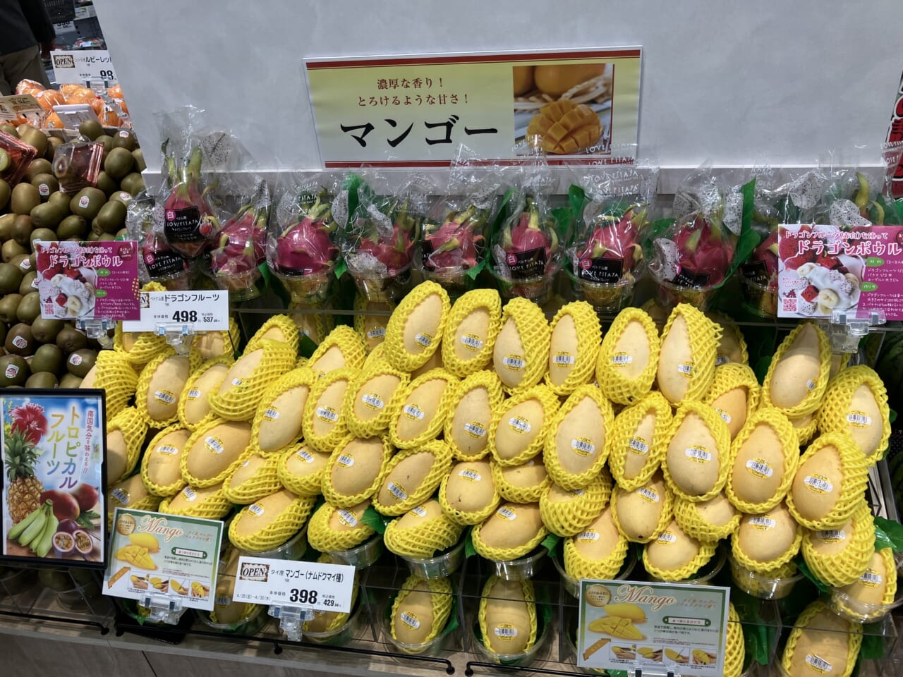 ダイエーの戦略的小型フォーマット「イオンフードスタイル墨田横川店