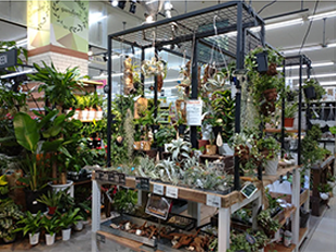 ホームセンターコーナン布施駅前店　園芸コーナー