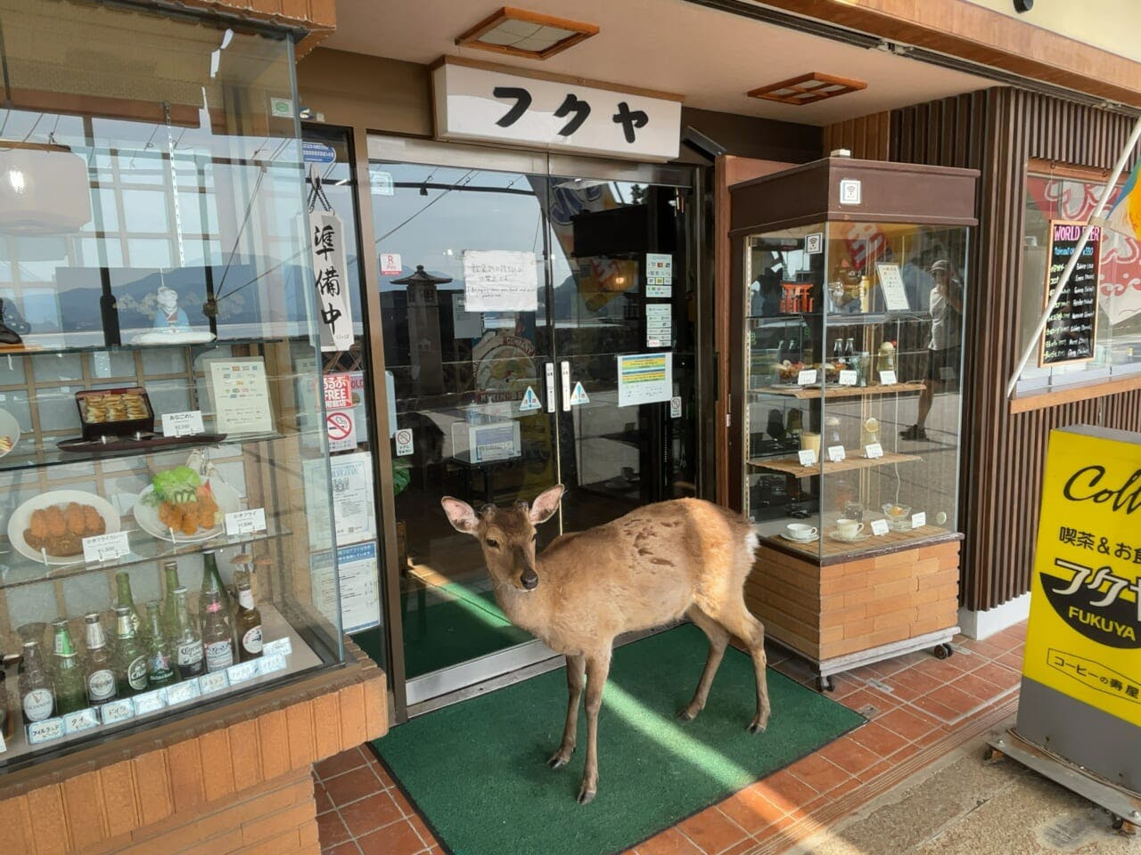 「神の使い」とされる鹿が放し飼いされている