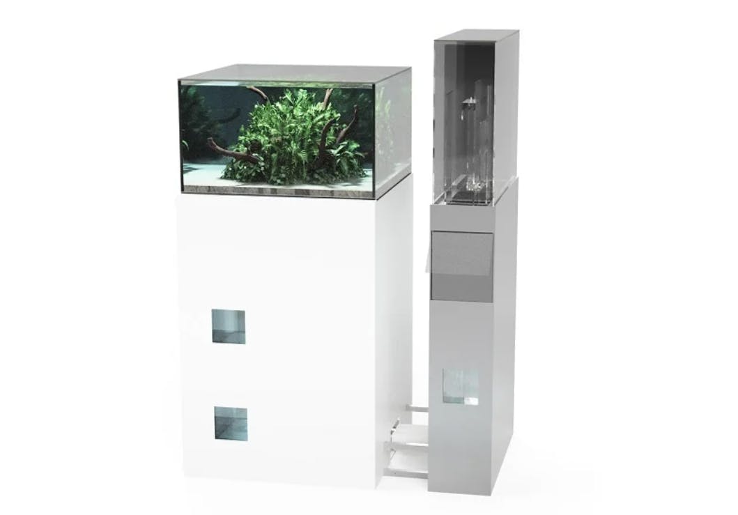 IoT未来水槽」展示イメージ