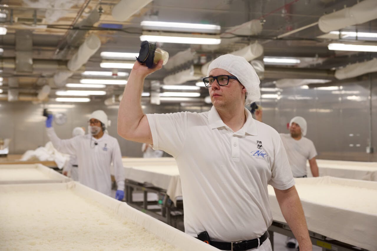 獺祭ブルー酒造りの一幕