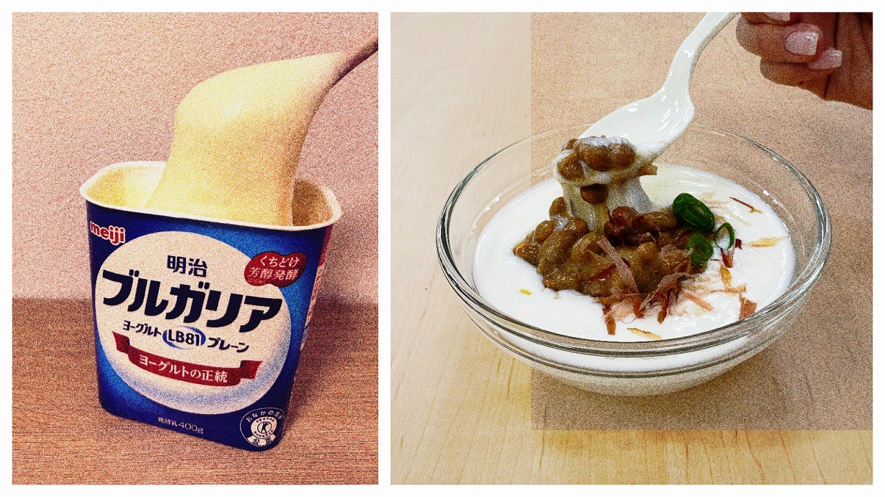 「ヨーグルトもち」と「発酵のトライアングル」