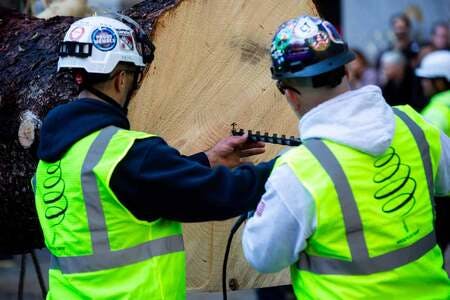 米ニューヨーク中心部のロックフェラー・センターでクリスマスツリーの準備をする作業員たち