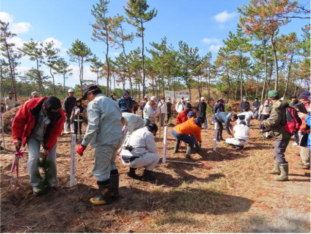 森林の整備の様子
