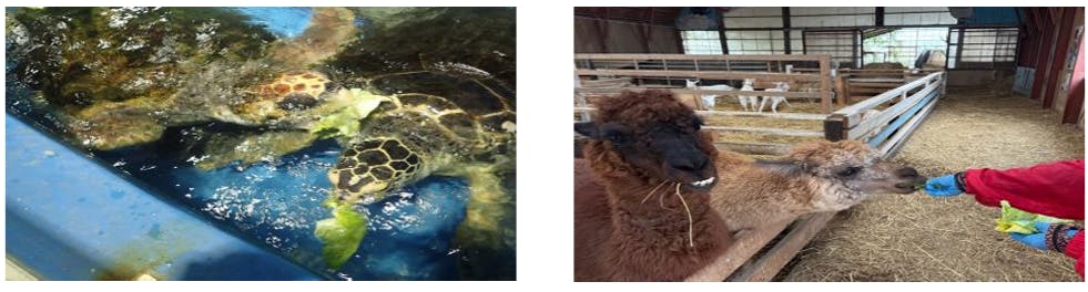 事業者向け提供状況