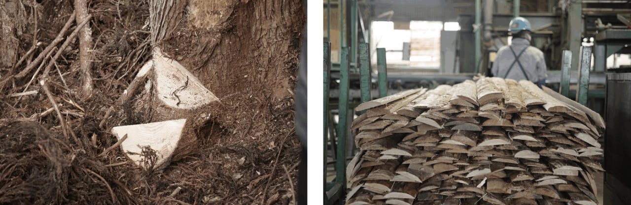 「山のダイゴミプロジェクト」から生まれた「山の木っ端(こっぱ)」シリーズ 新発売